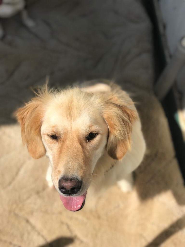 Callie (fka Faith) - Gone But Not Forgotten