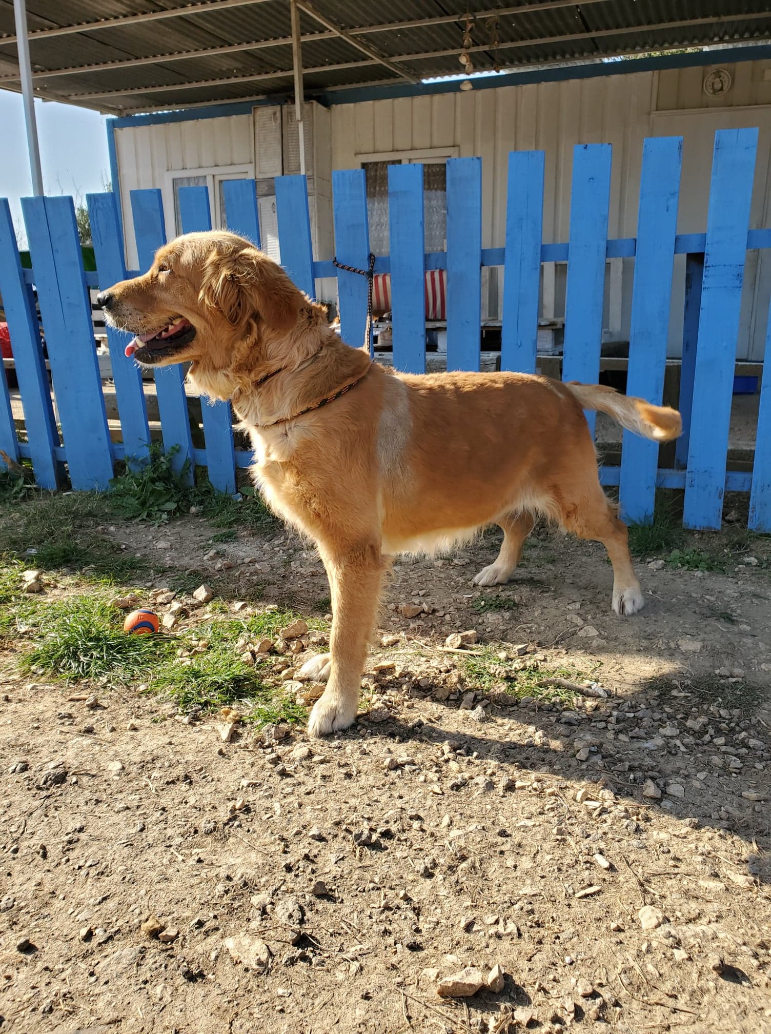 Journey (fka Birdie) 