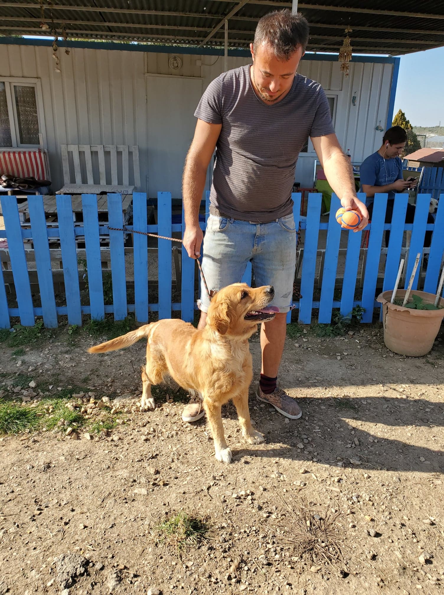 Journey (fka Birdie) 