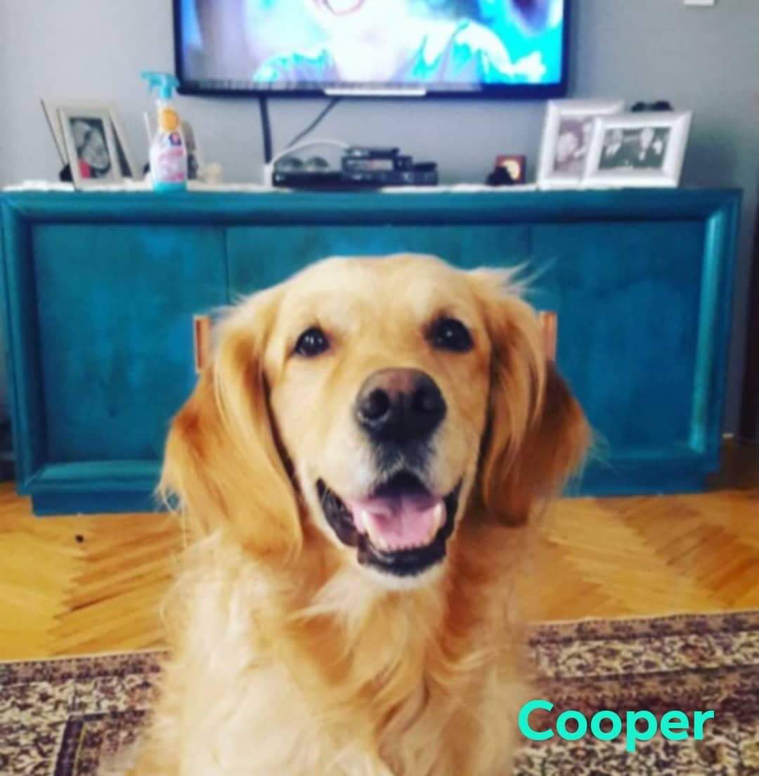 Cooper
