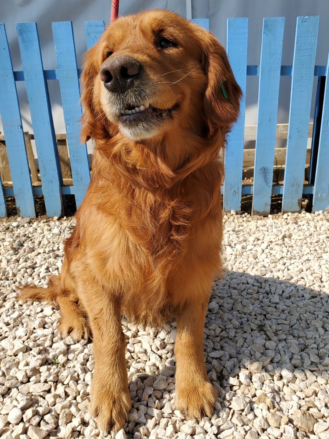 Johnny **Bonded Pair**