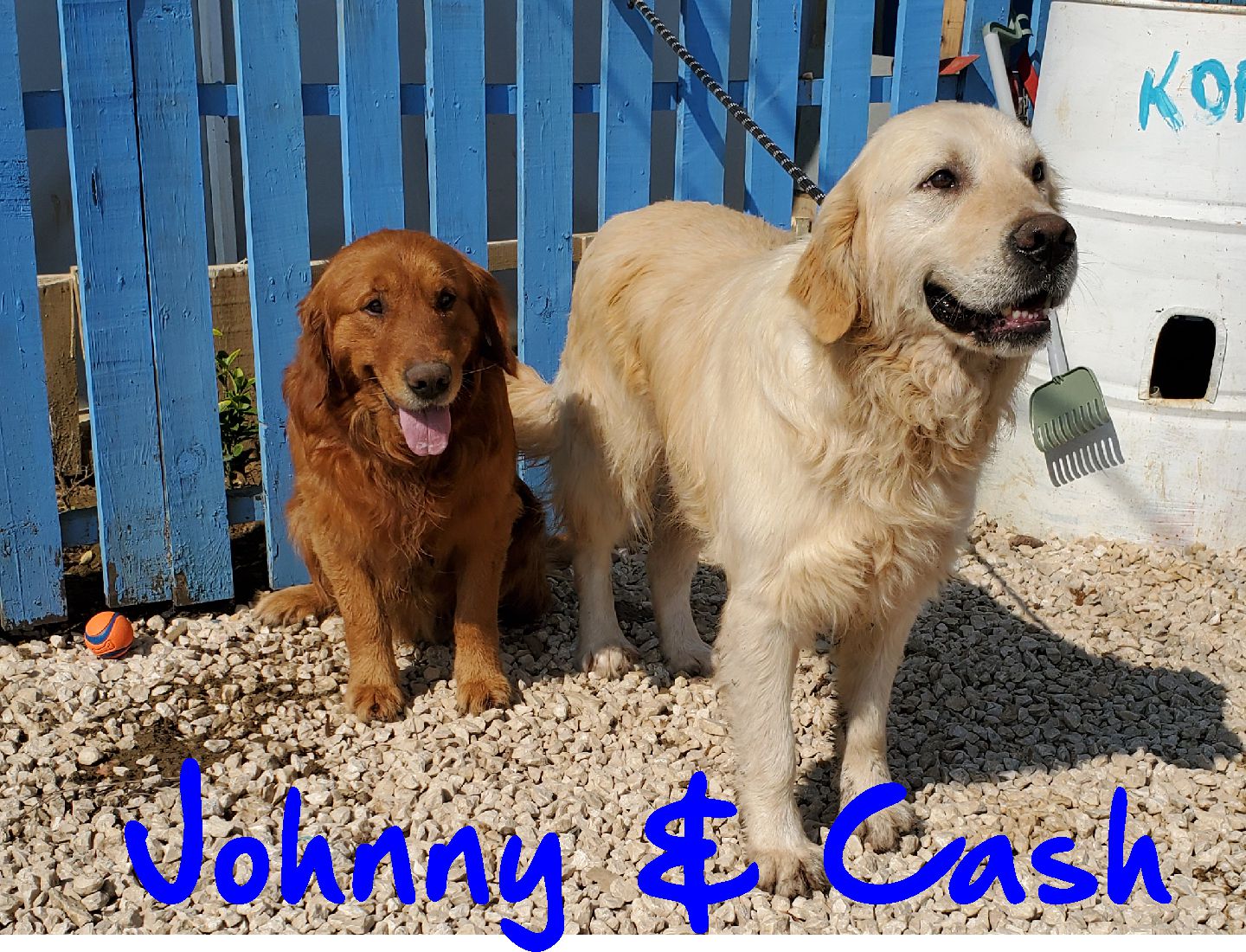 Johnny **Bonded Pair**