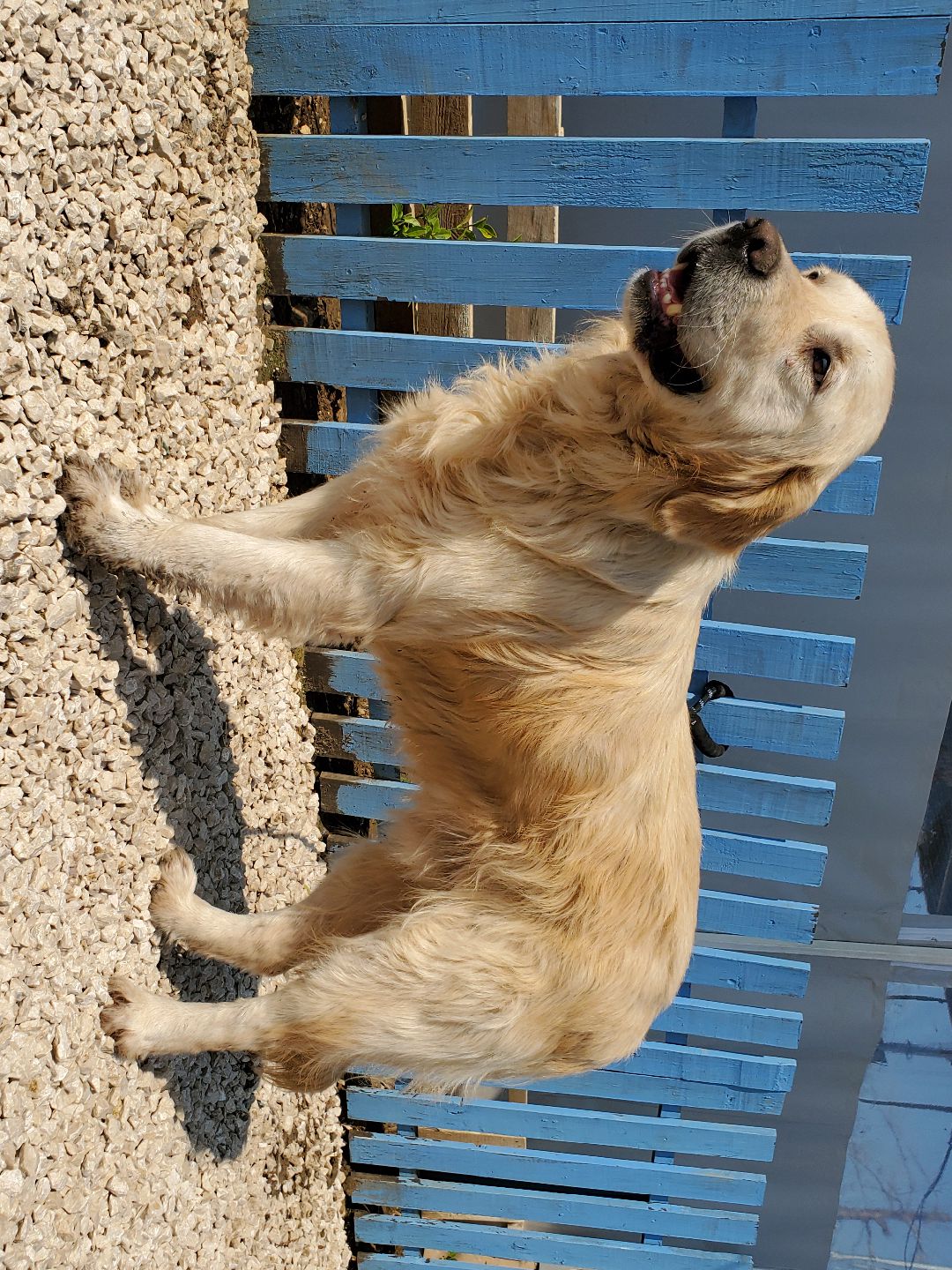 Cash **Bonded Pair**