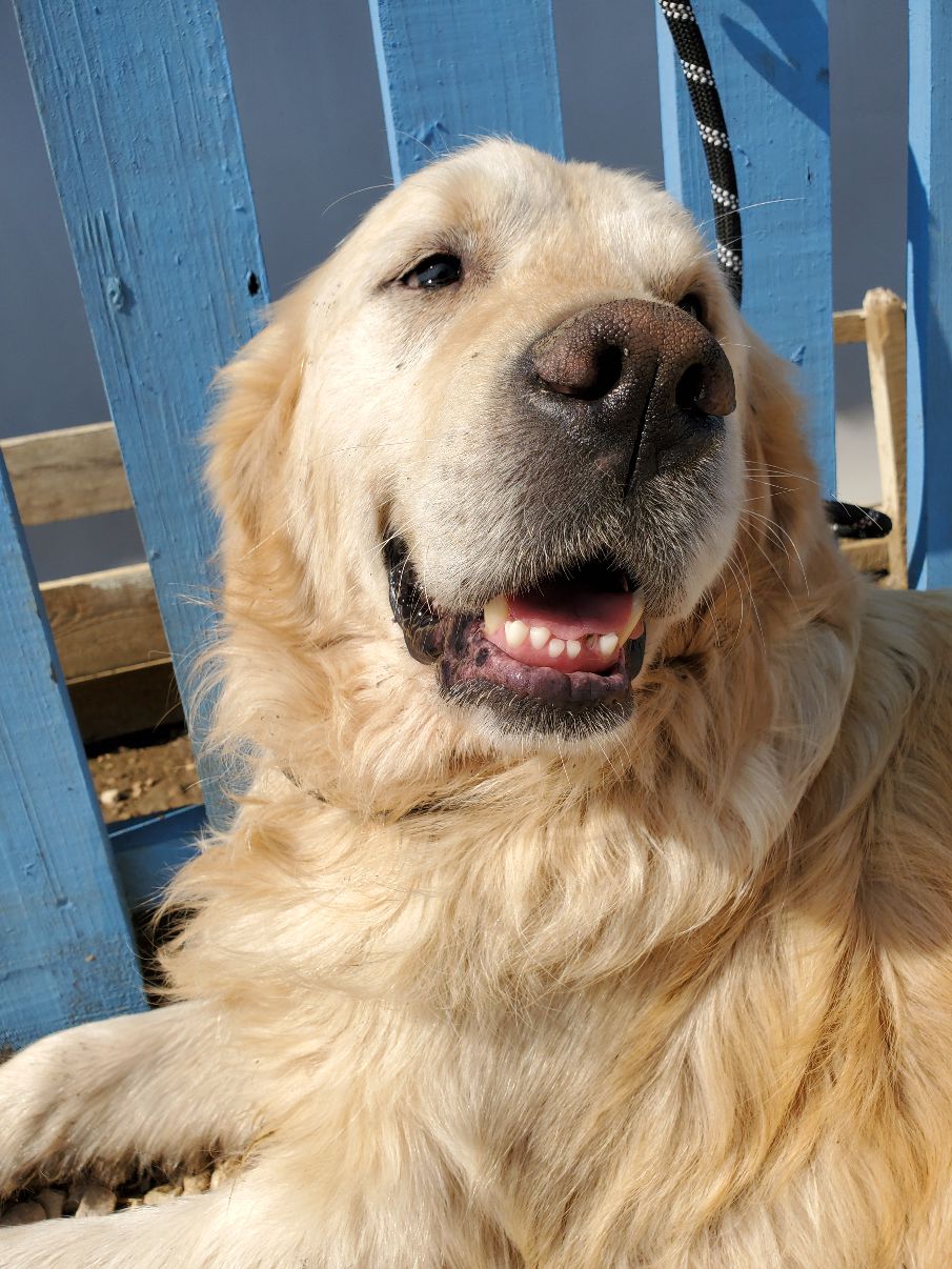 Cash **Bonded Pair**