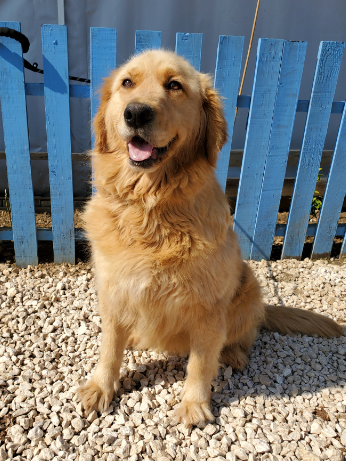 Honey Boozy (fka Destiny)