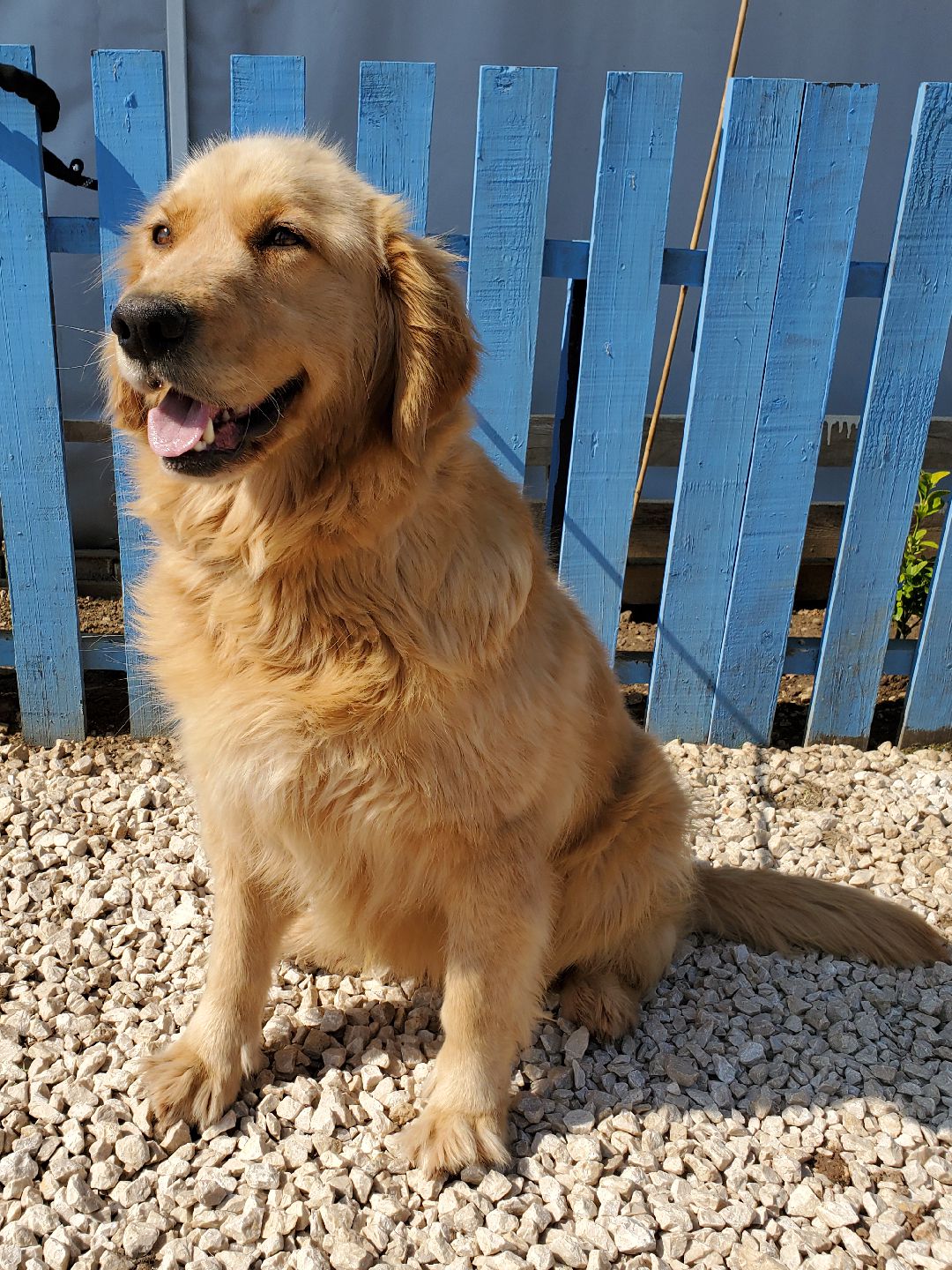 Honey Boozy (fka Destiny)