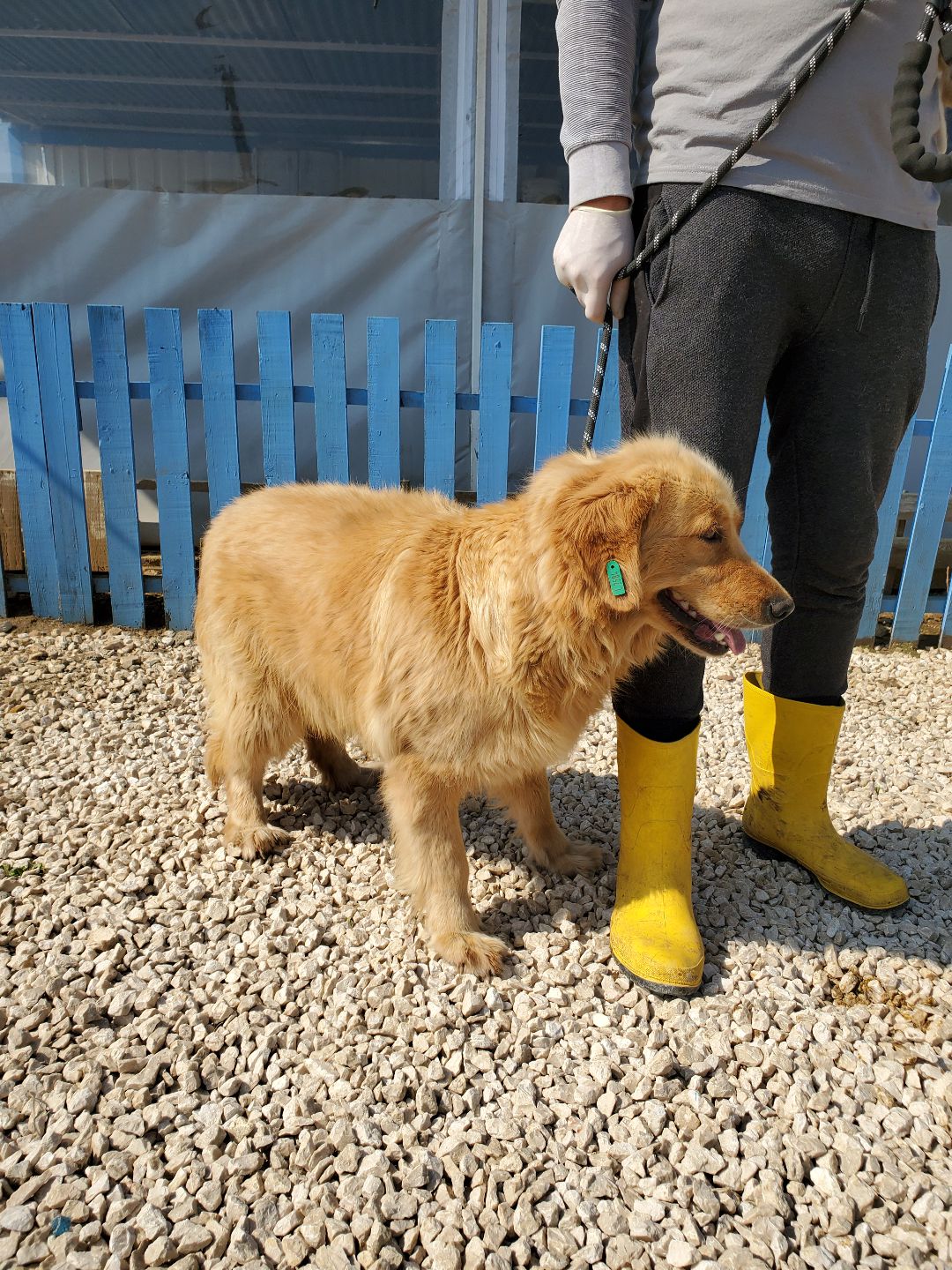 Honey Boozy (fka Destiny)