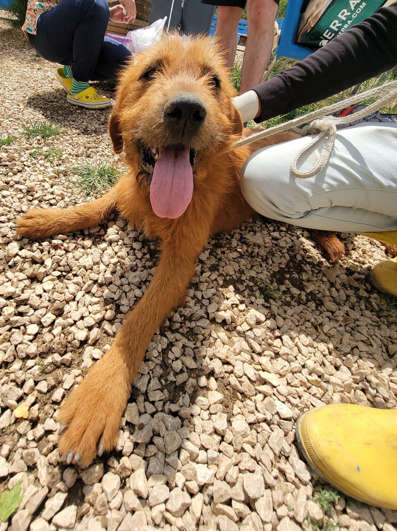 Roland (fka Emerson)