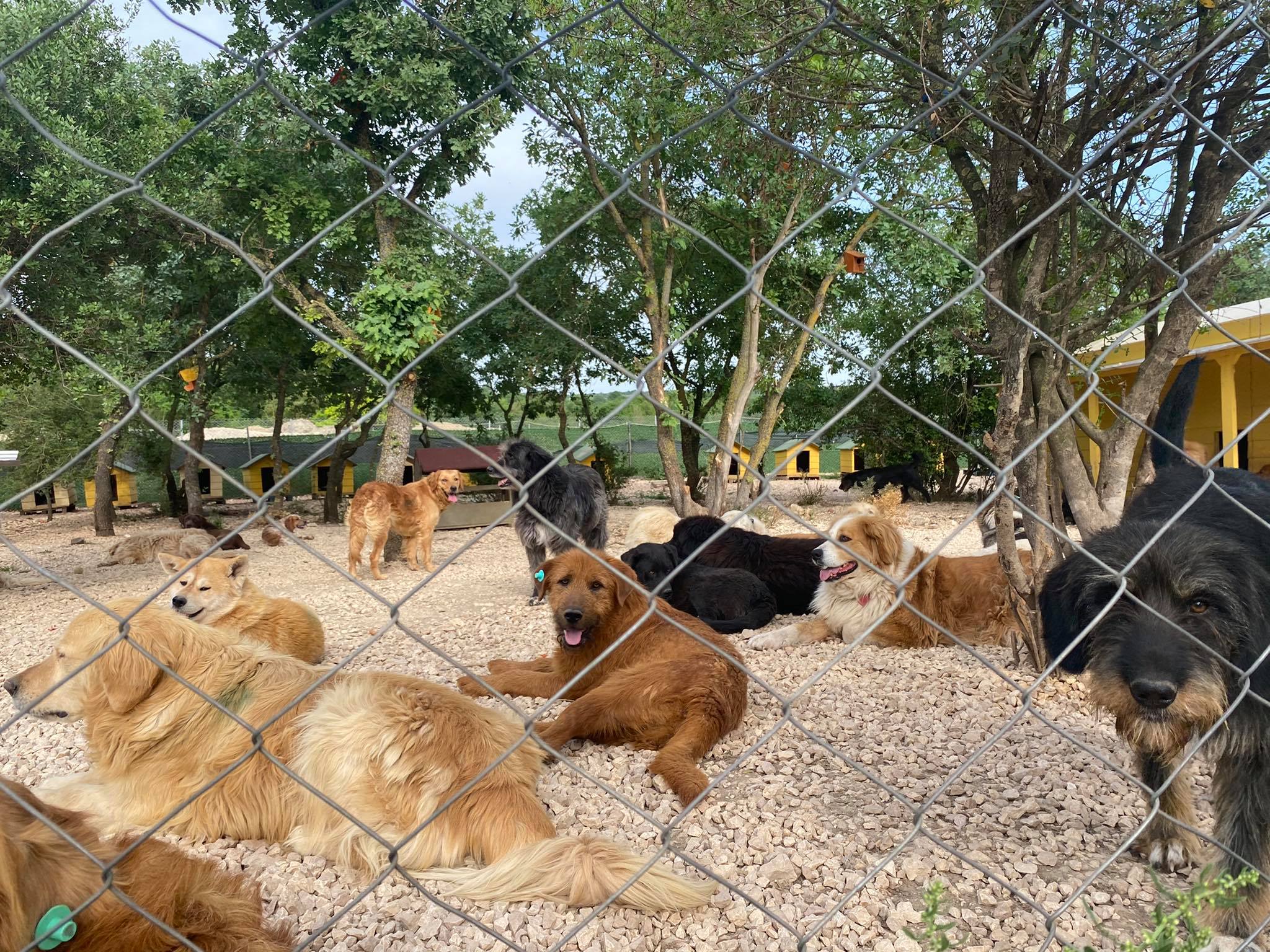 Roland (fka Emerson)