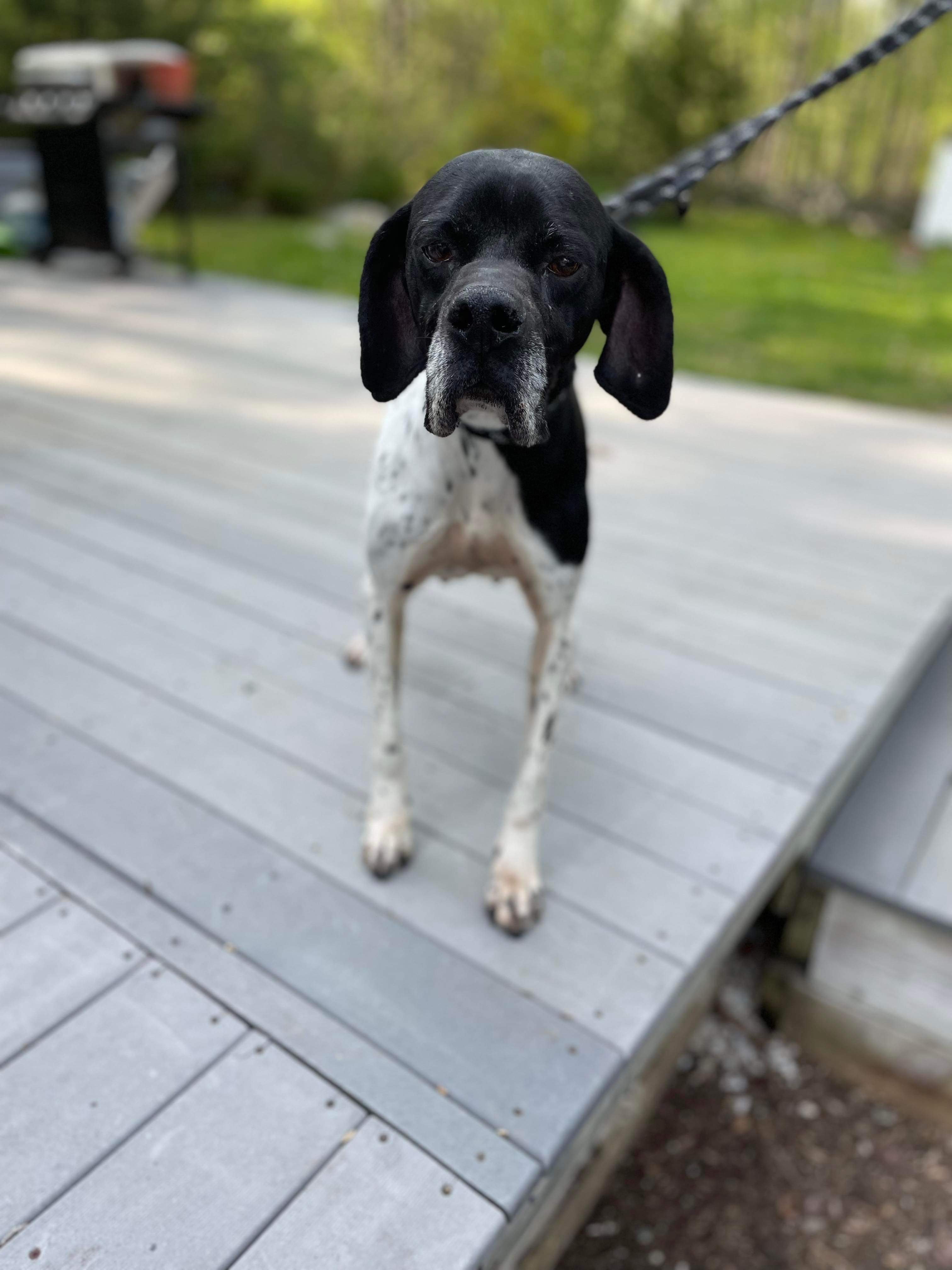 June-Application Limit Exceeded