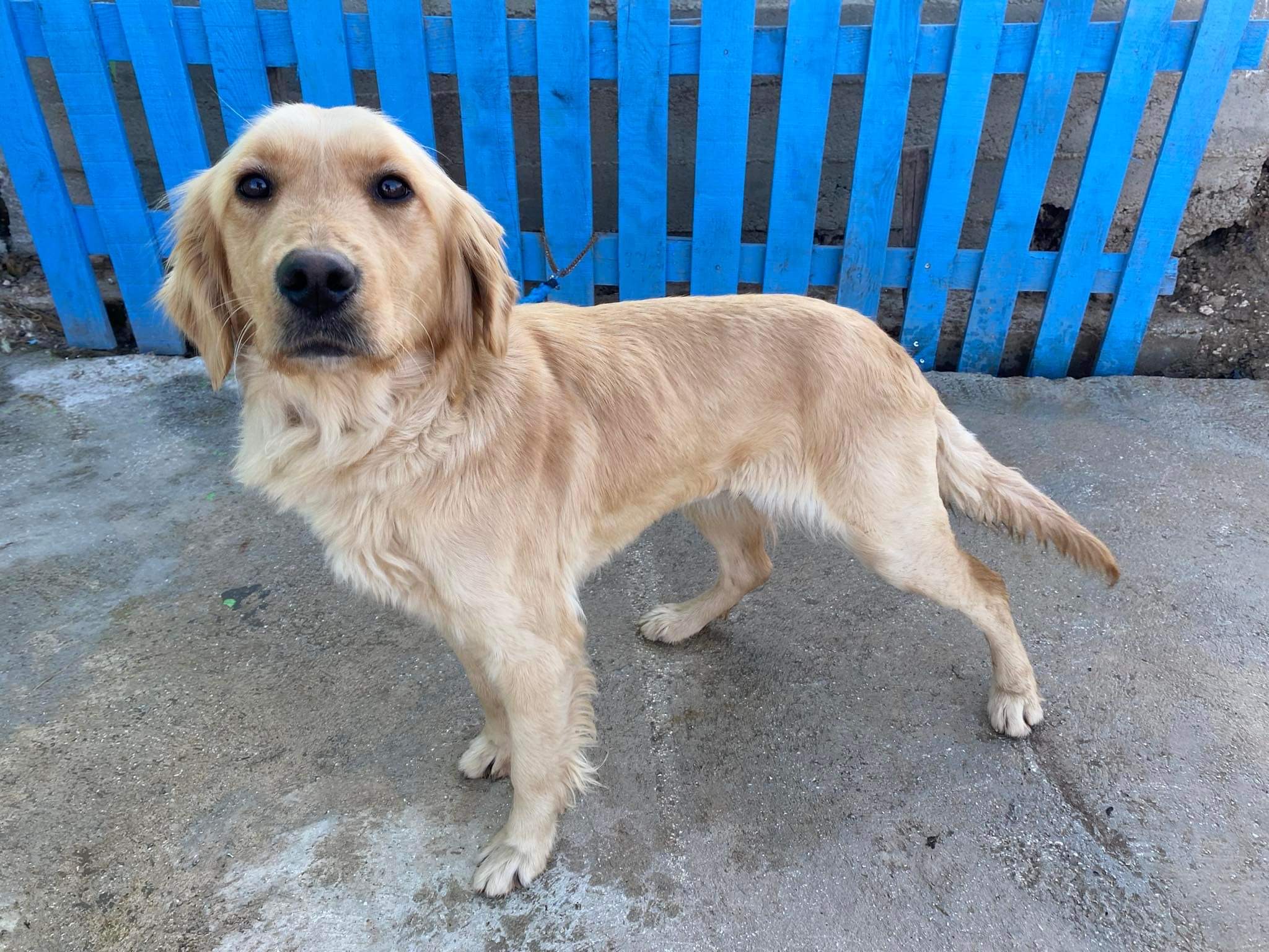 Sophia (fka Daenerys)