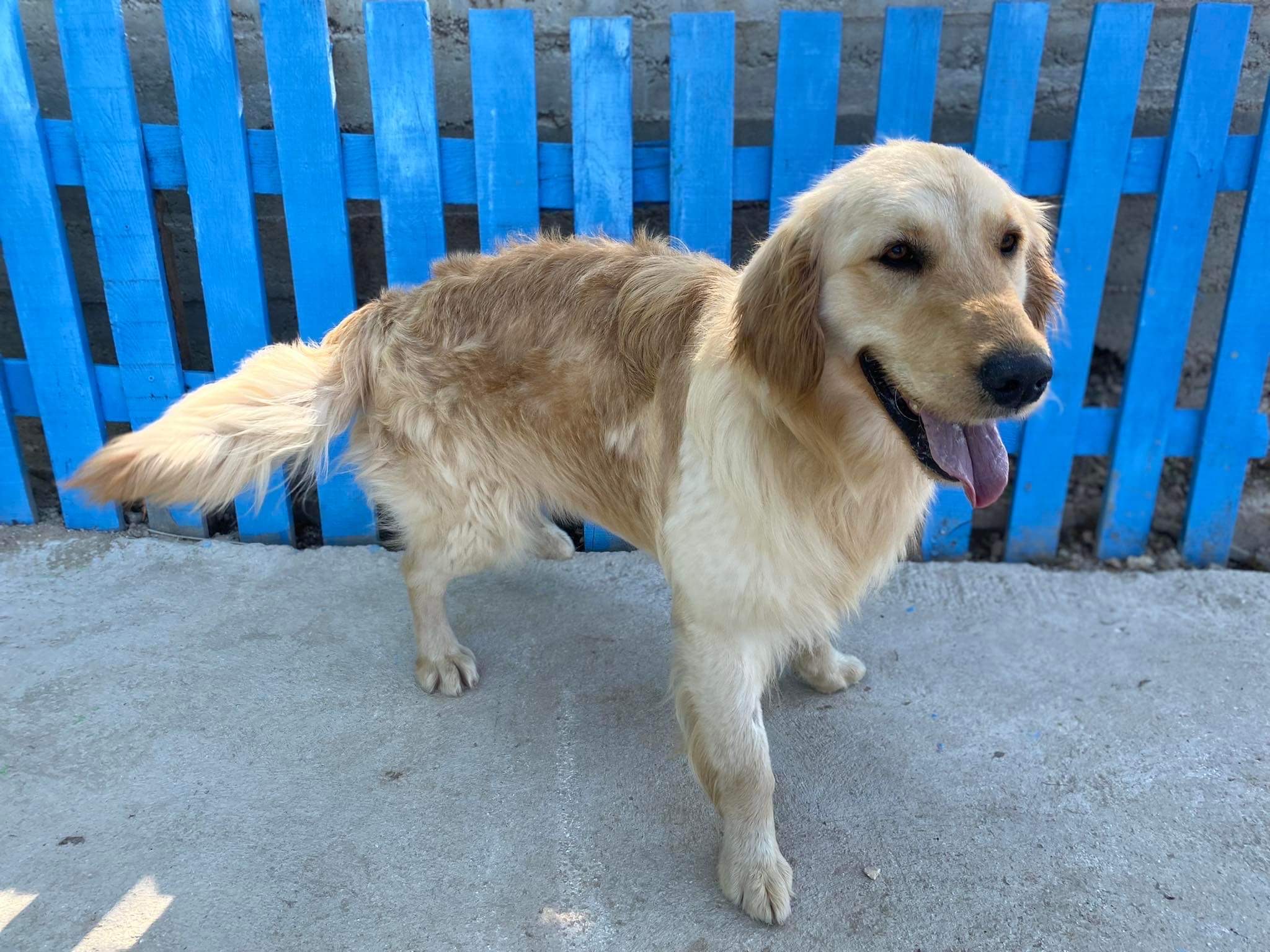 Seth -GONE BUT NEVER FORGOTTEN