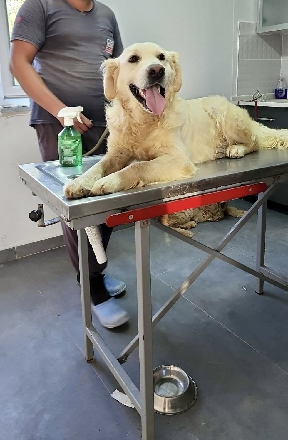 Catbird (fka Pender)