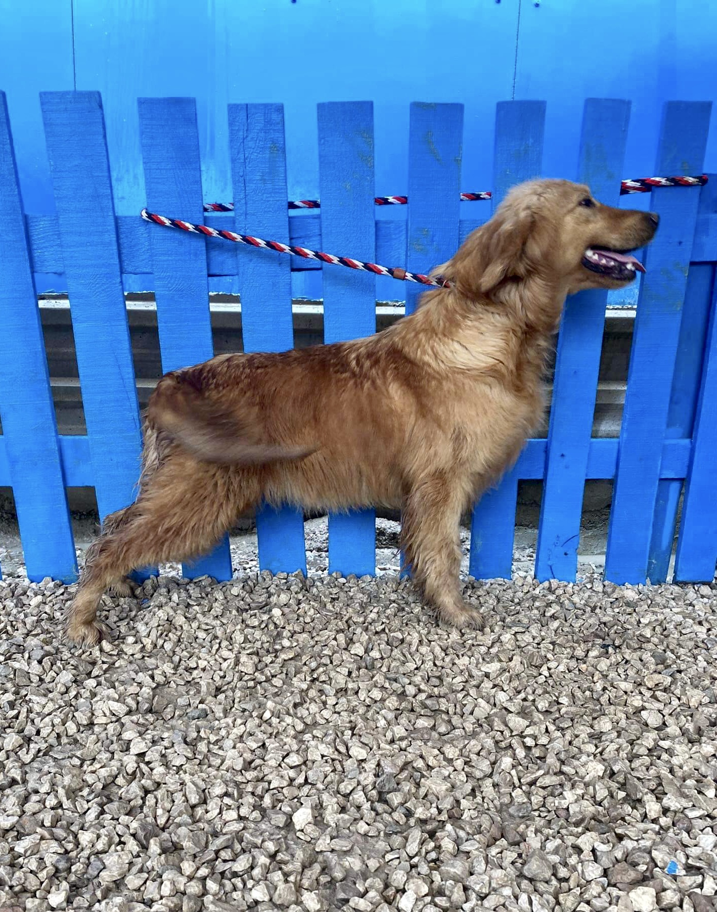 Whiskey - Gone but not forgotten 