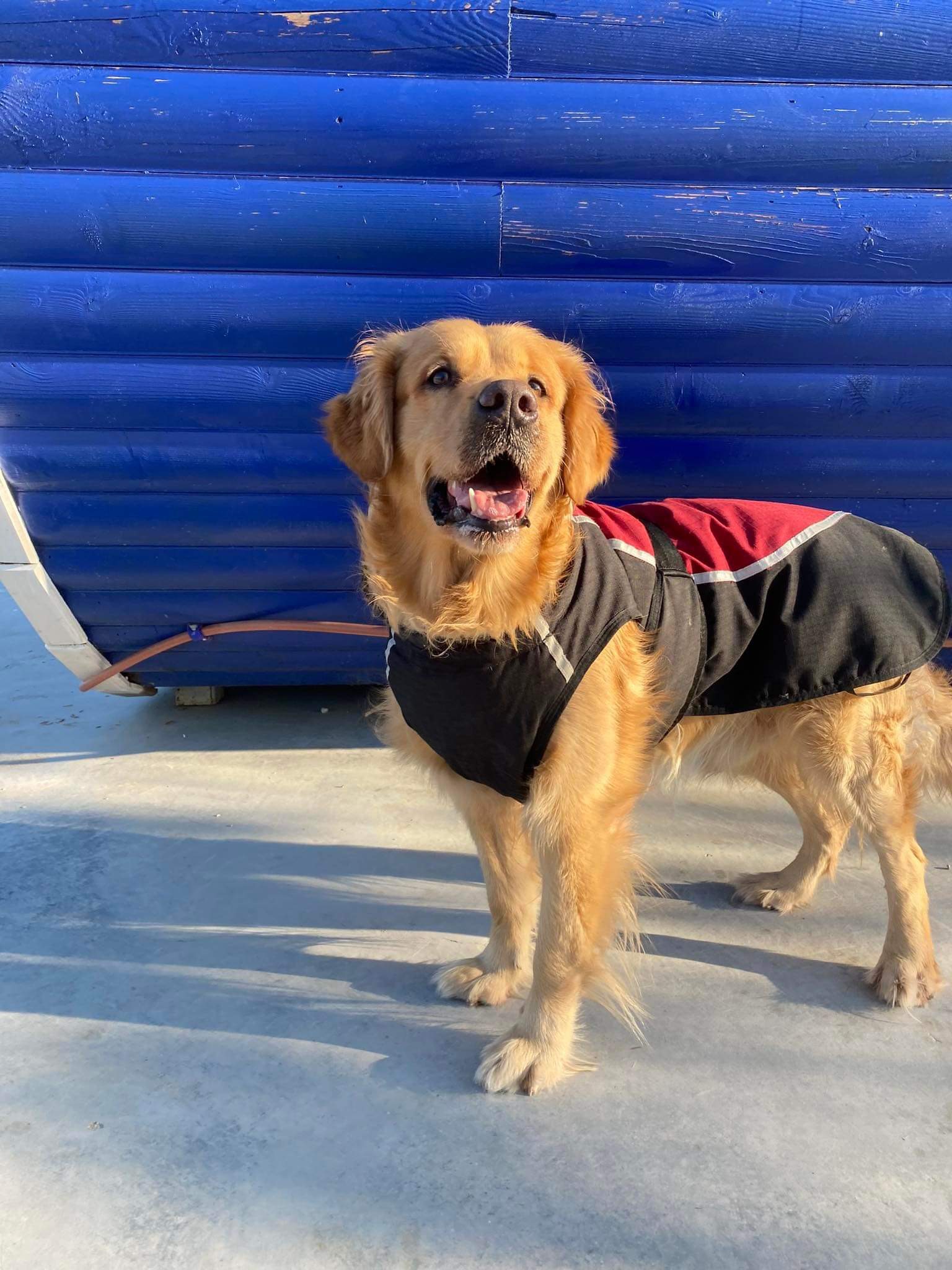 Bobo  APPLICATION LIMIT EXCEEDED