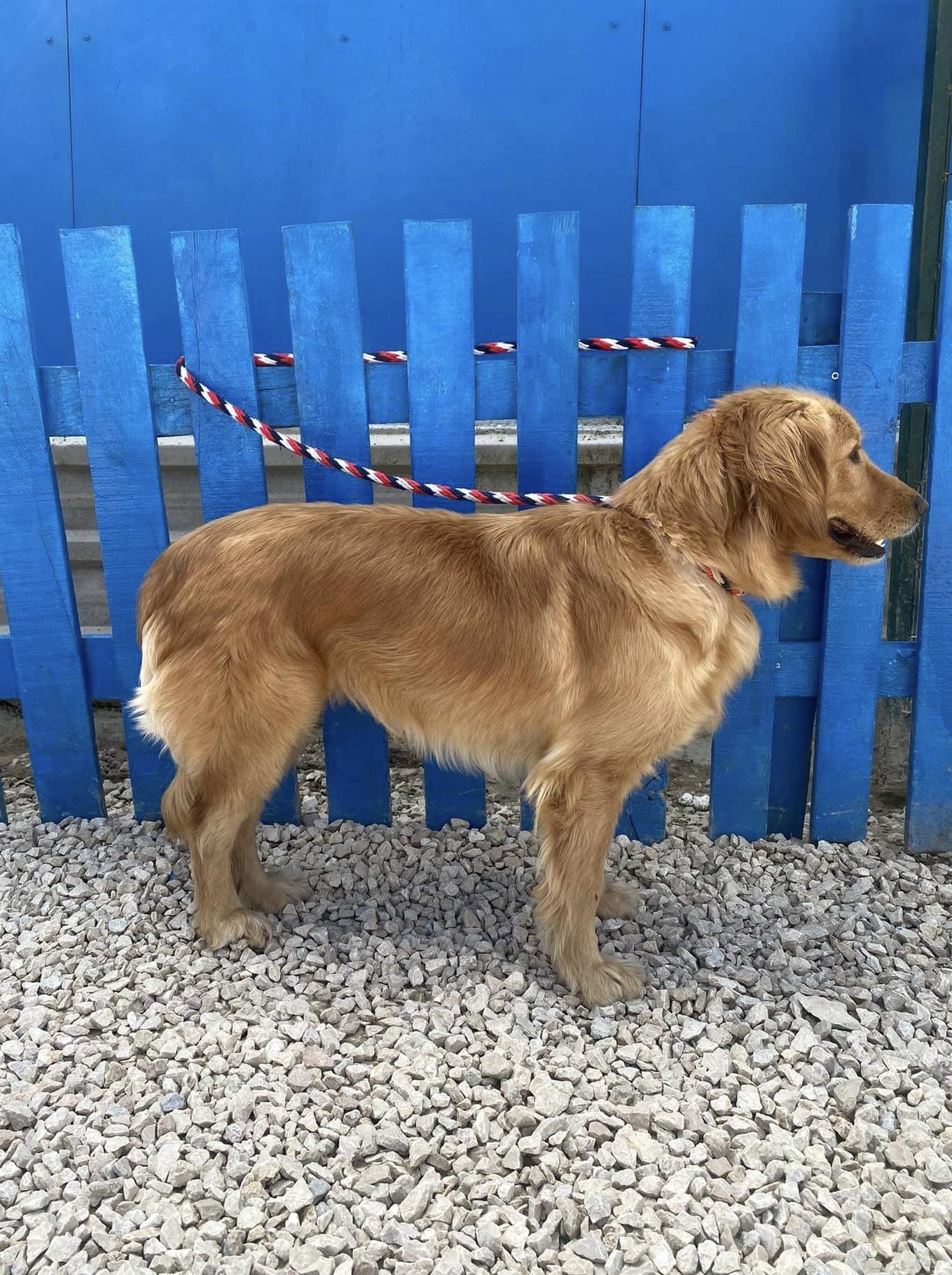 Candy-Application Limit Exceeded