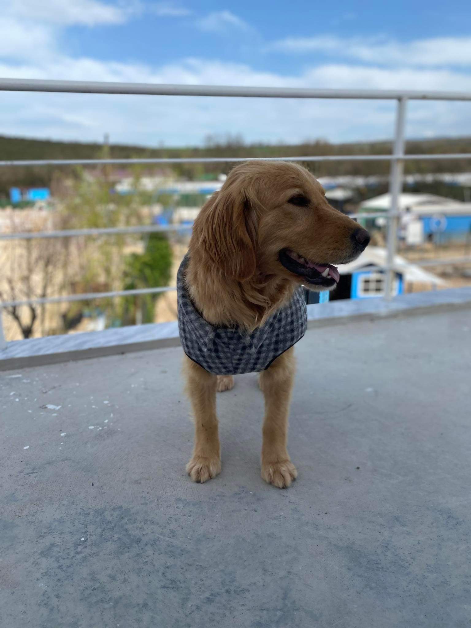 Candy-Application Limit Exceeded