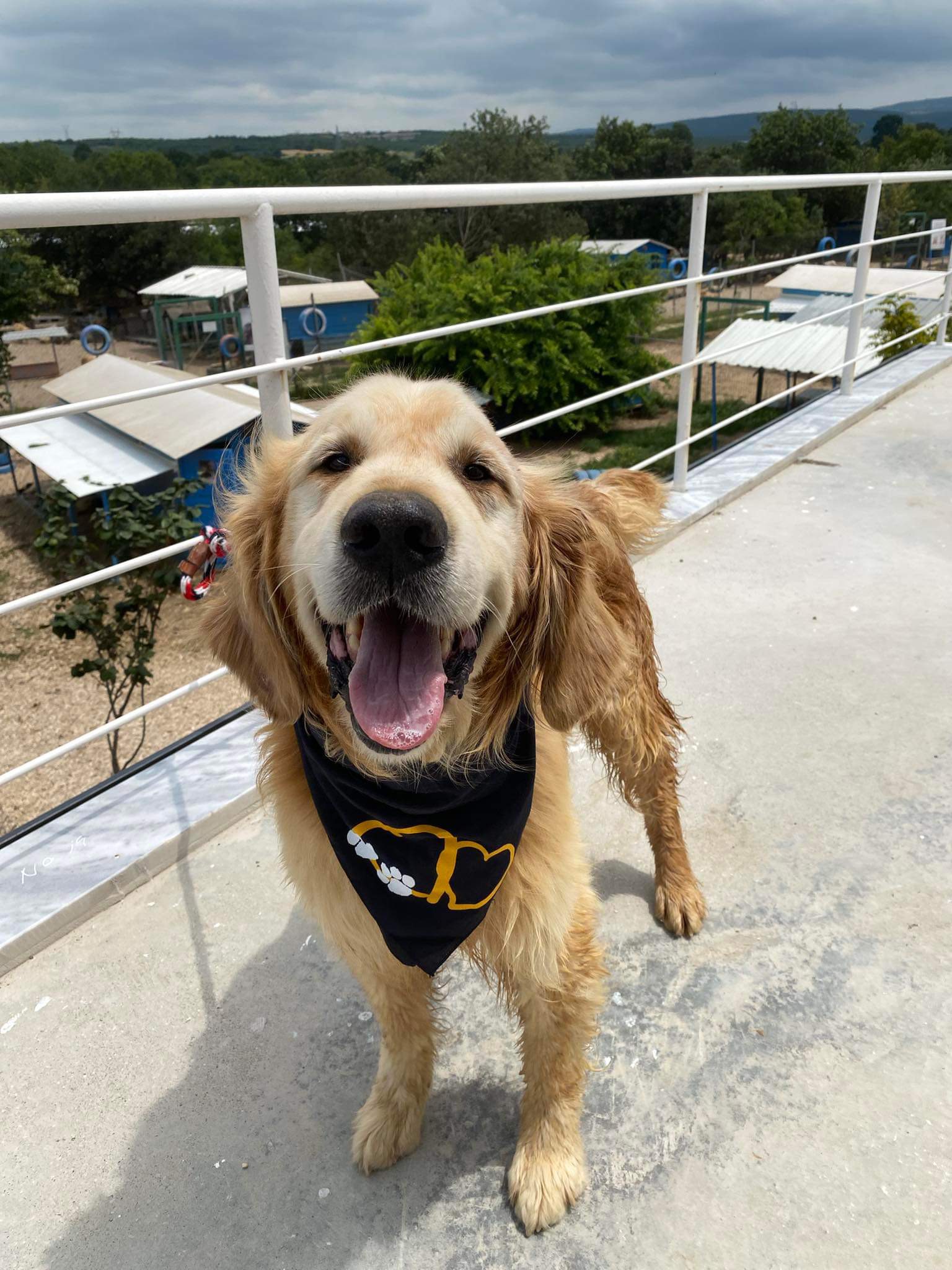 Danny- Application Limit Exceeded