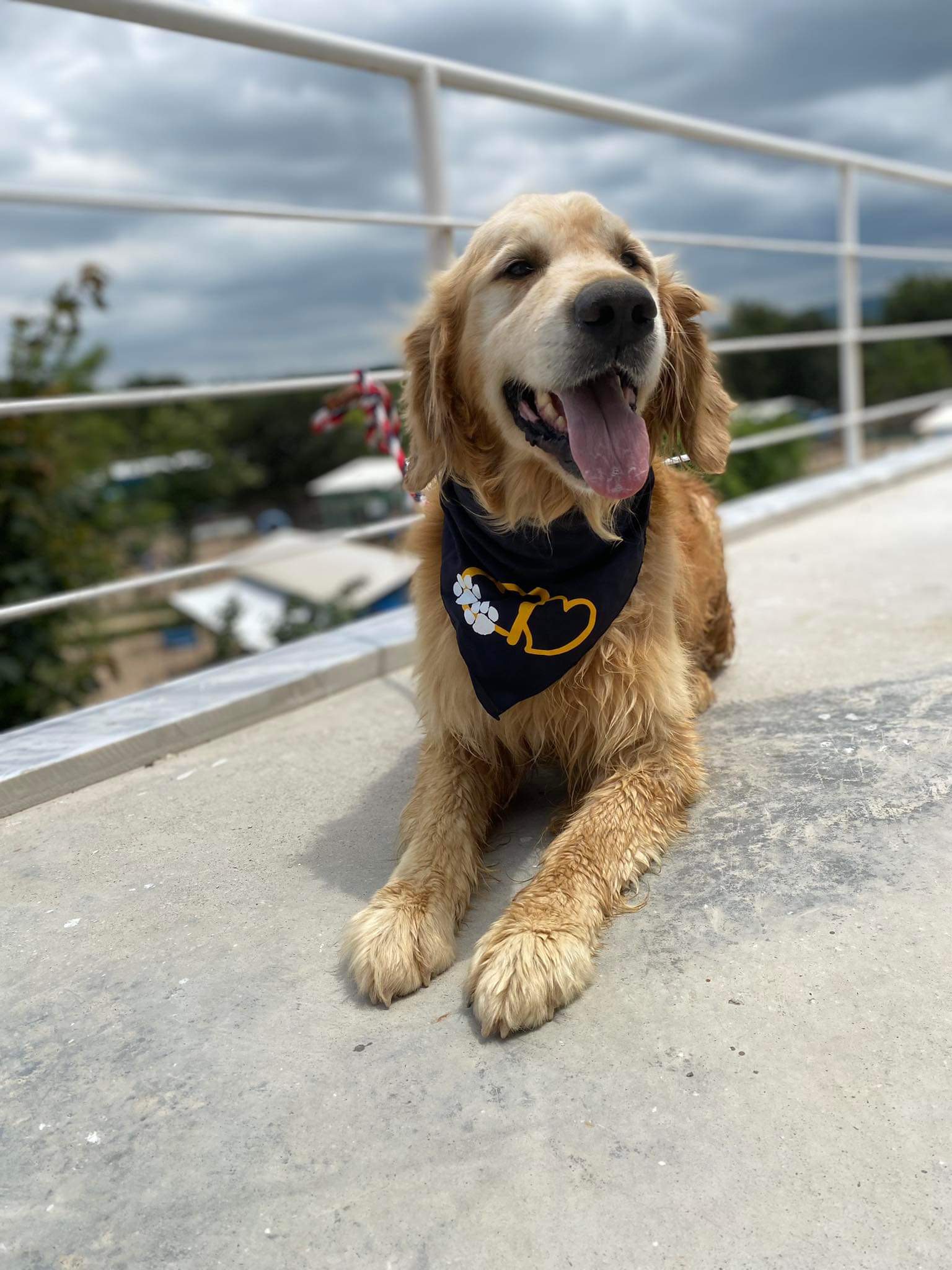 Danny- Application Limit Exceeded