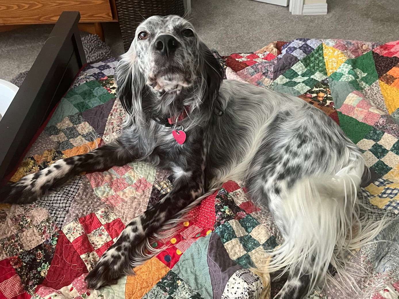 Maisie (fka Paisley) 