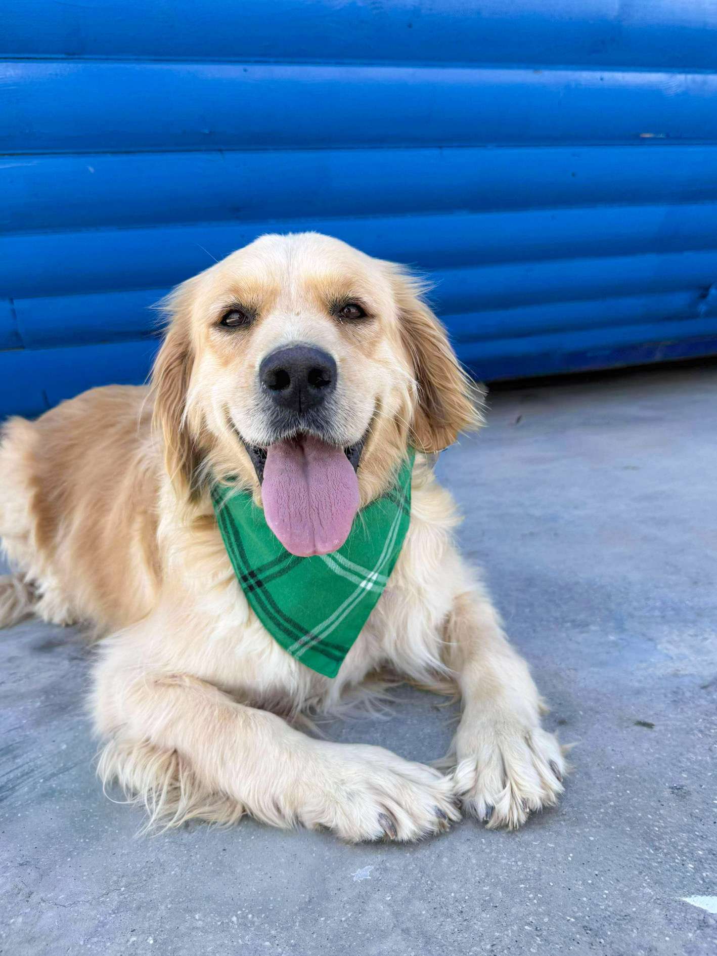 Muffin - Application Limit Exceeded 