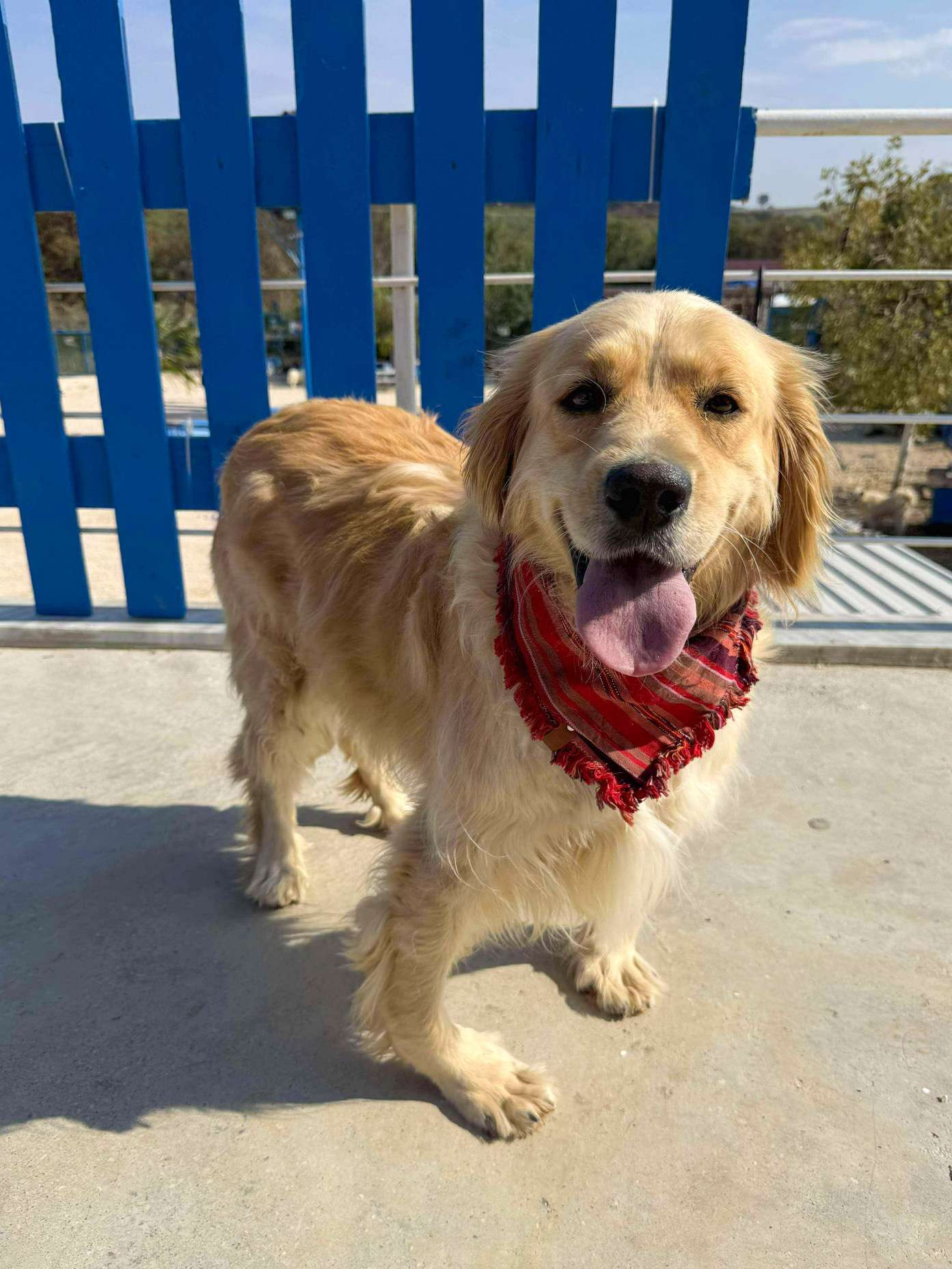 Muffin - Application Limit Exceeded 