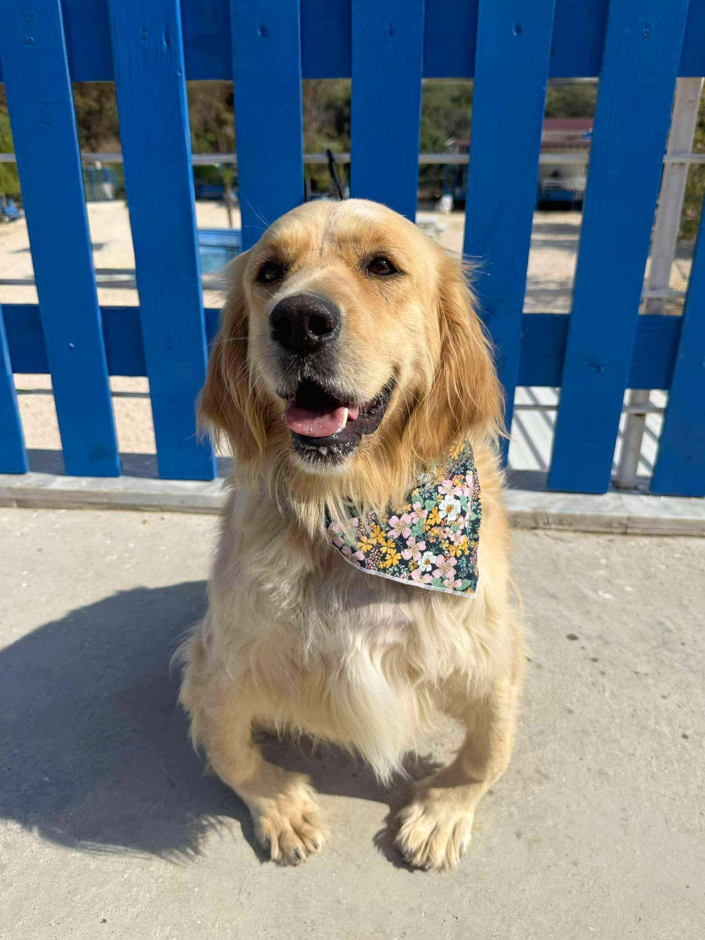 Muffin - Application Limit Exceeded 