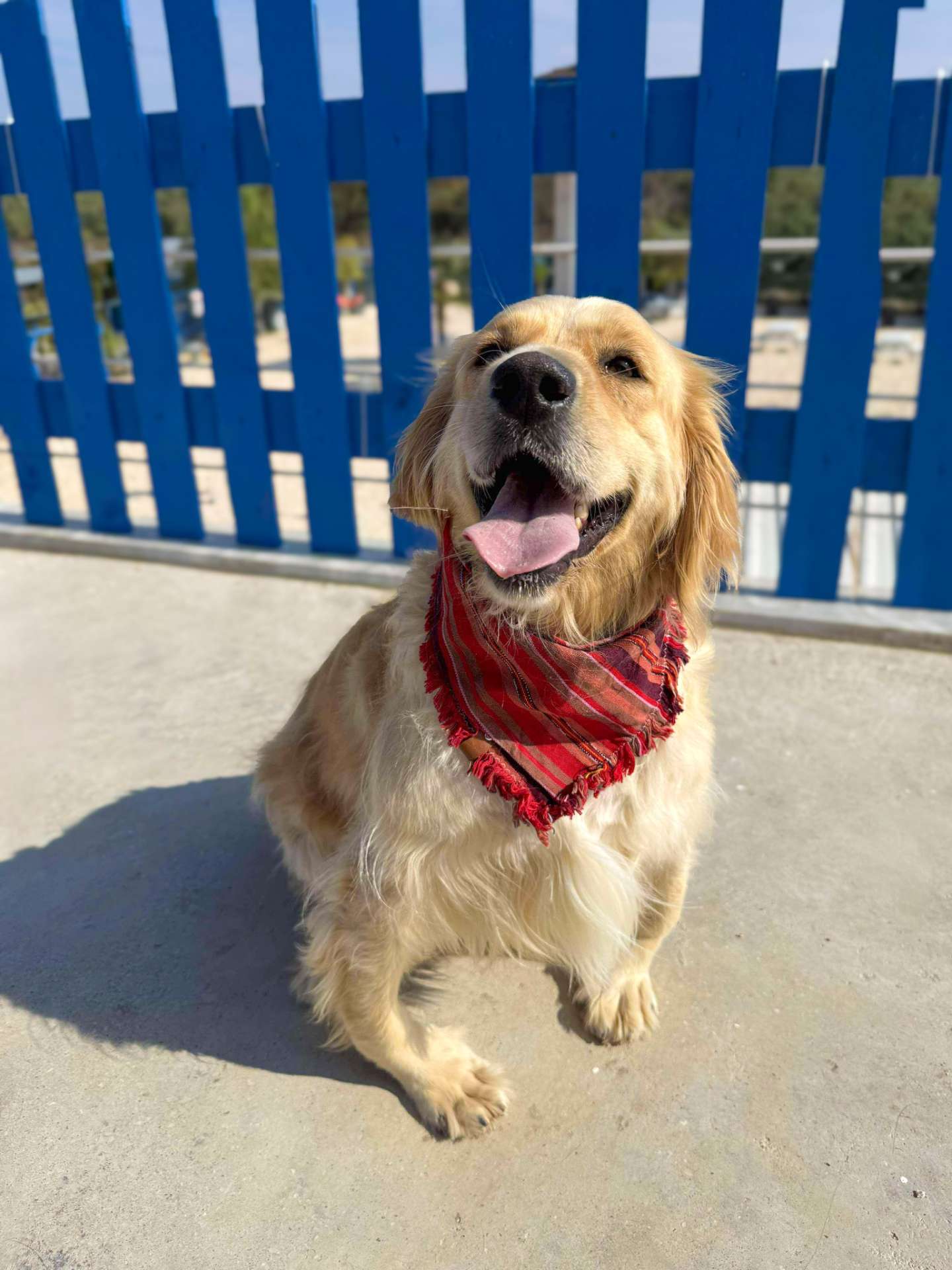 Muffin - Application Limit Exceeded 